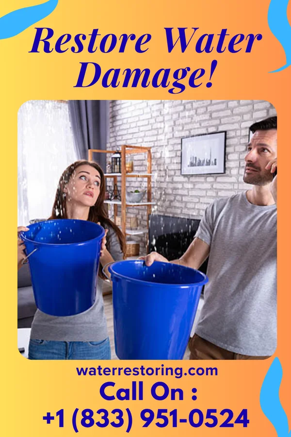 water restoration Capital Sewage Cleanup Experts Hansell