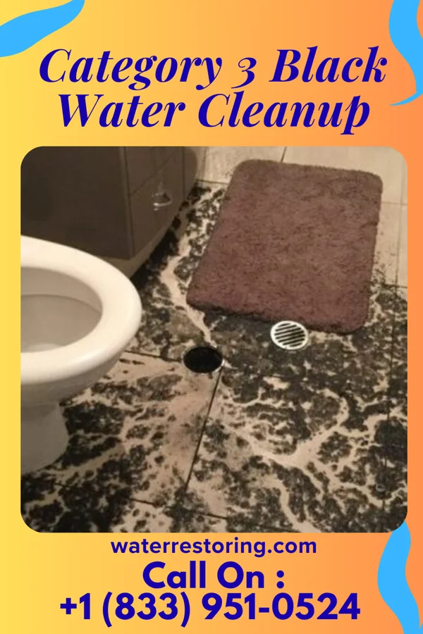 Category 3 Black Water Cleanup in Hansell, IA