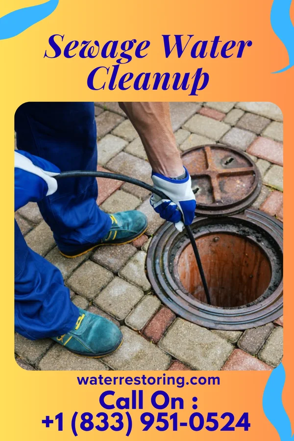 Sewage Water Cleanup in Hansell, IA